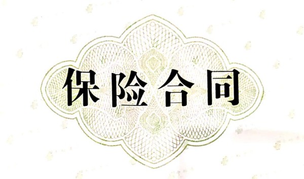 輕松查閱保險(xiǎn)電子合同，保障您的權(quán)益從這里開(kāi)始！